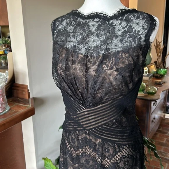 Tadashi Shoji Chantilly Lace Boatneck Sheath Midi Dress sz12 - Picture 7 of 16